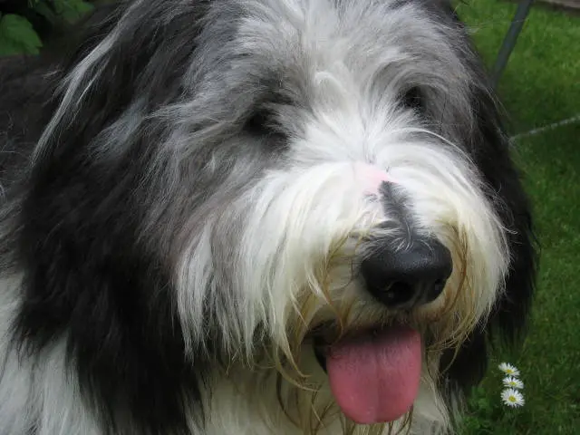 Image from Ernie