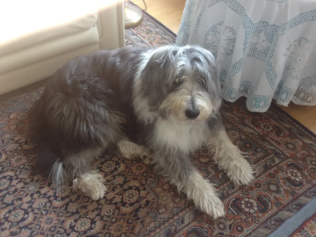 Image from Ernie