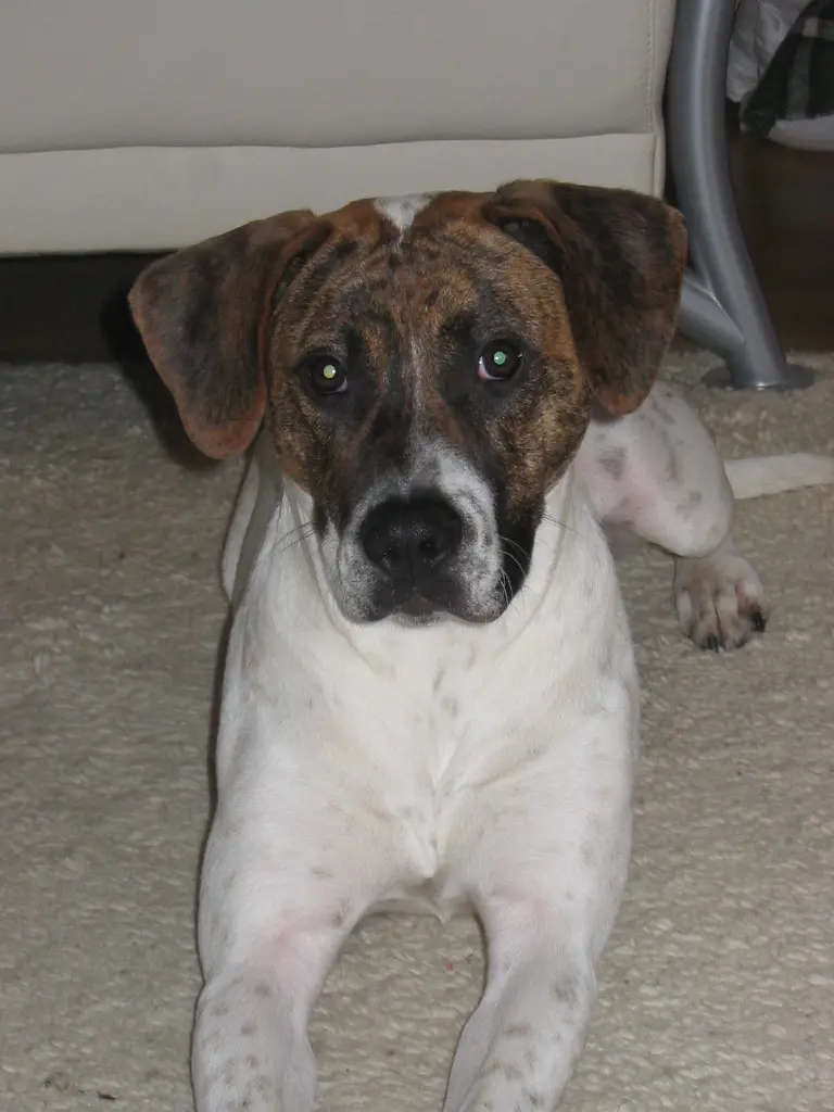 Condolence image of Guido mit Gina im Herzen 