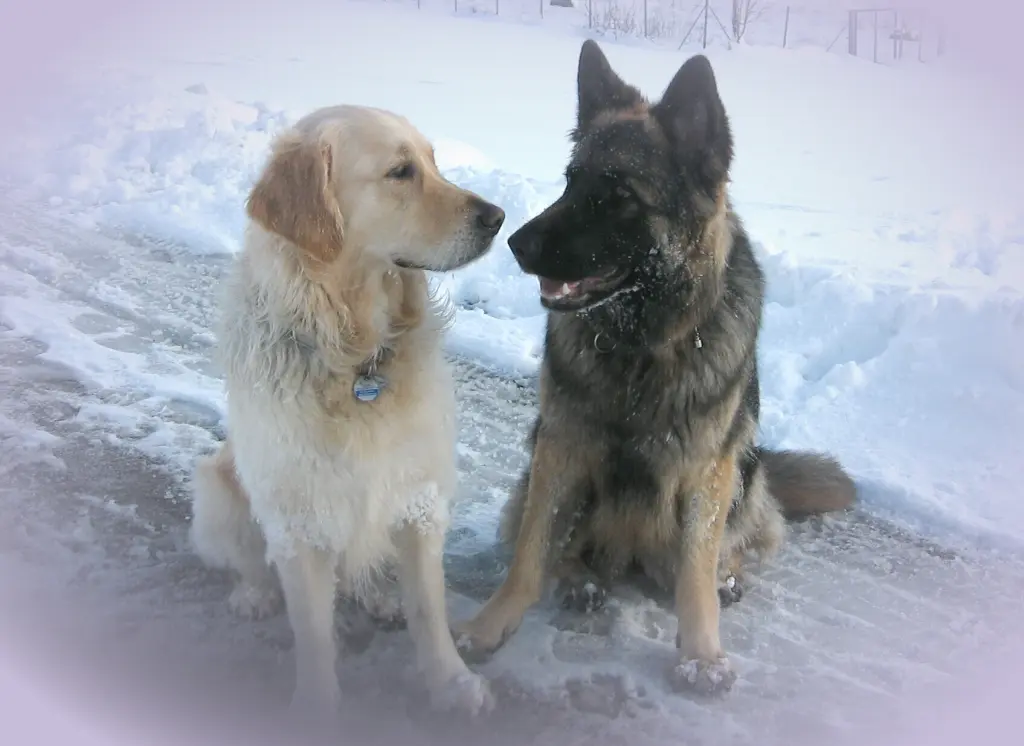 Condolence image of Brigitte und Robert