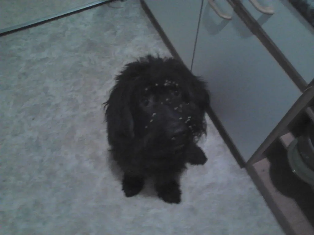 Condolence image of Bernd&jahjah