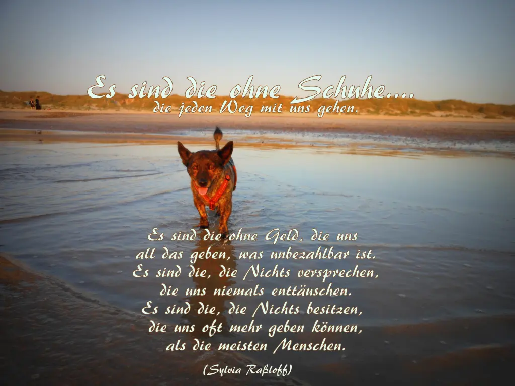 Condolence image of Unbekannt