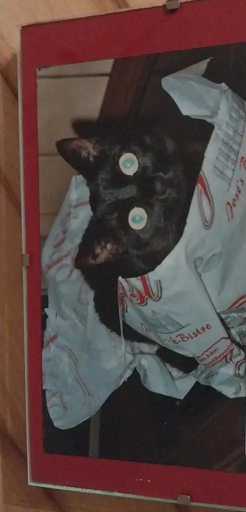 Andachtsbild von Eva mit Kira im ❤️