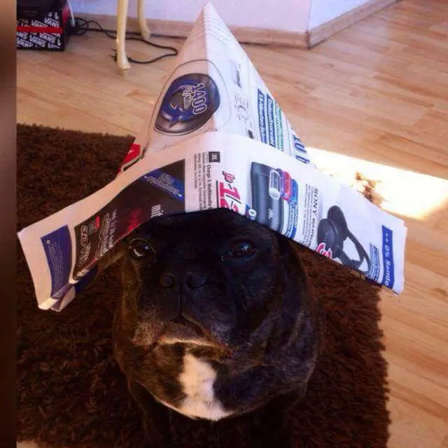 Condolence image of Sarah