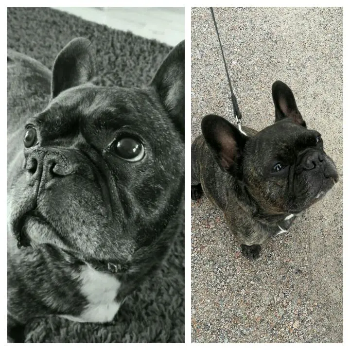 Condolence image of Sarah