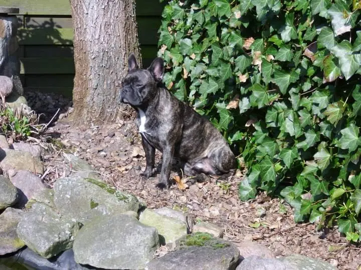 Condolence image of Sarah