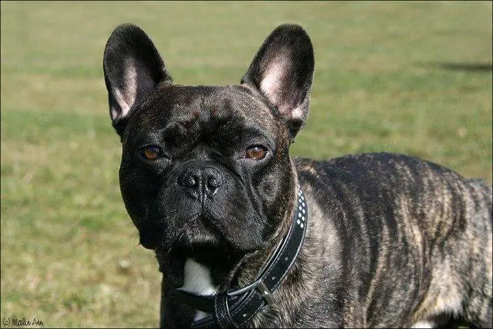 Condolence image of Sarah