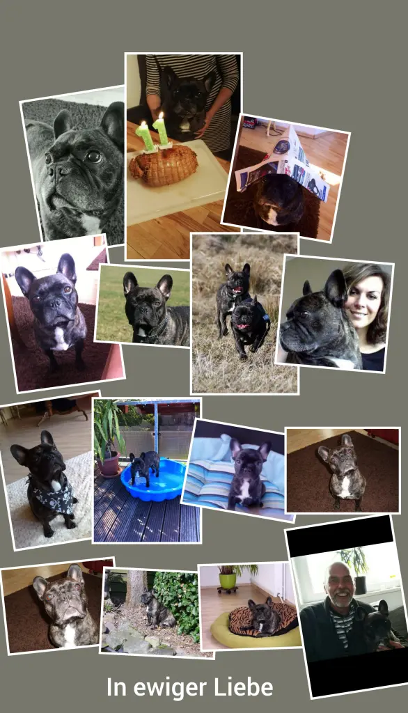 Condolence image of Sarah