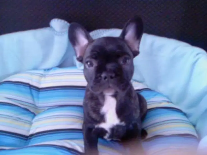 Condolence image of Sarah