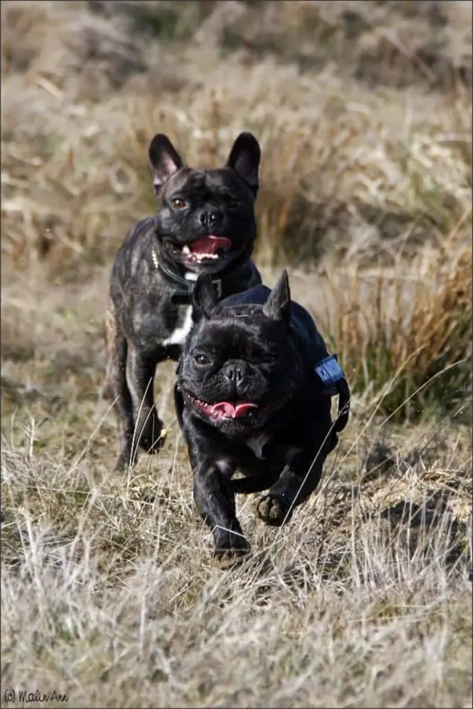 Condolence image of Sarah