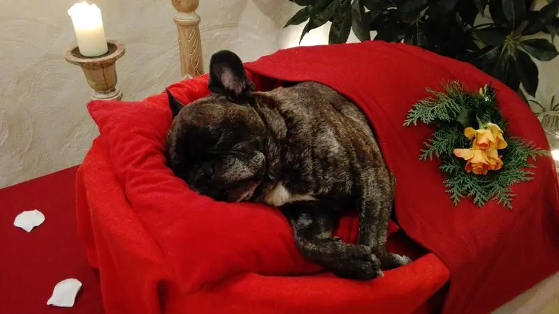 Condolence image of Sarah