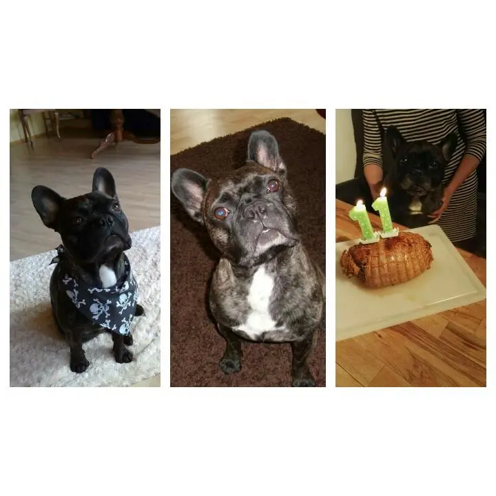 Condolence image of Sarah