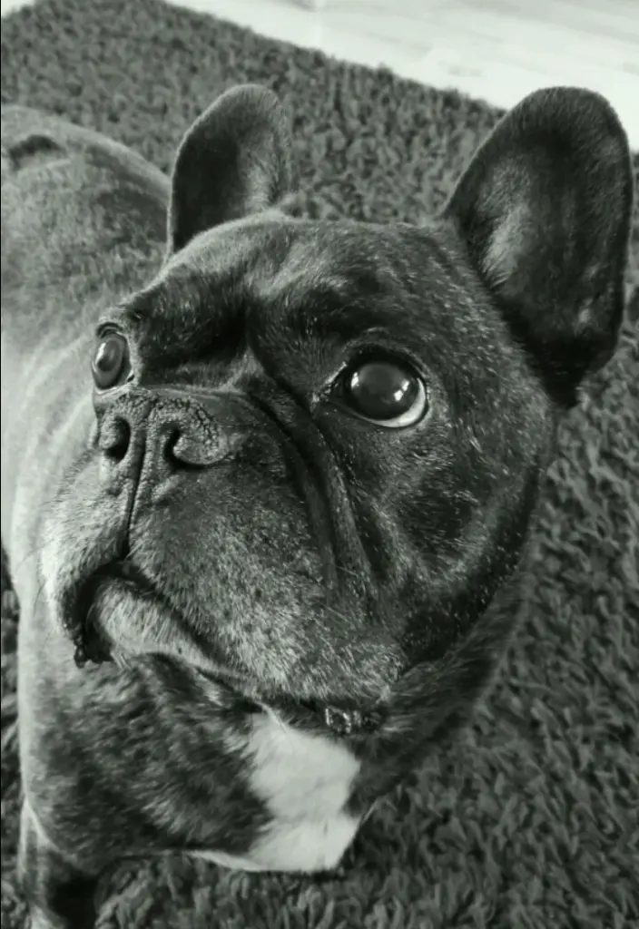 Condolence image of Sarah 