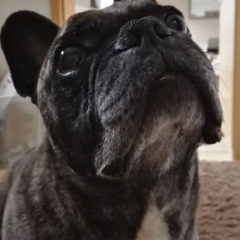 Condolence image of Sarah