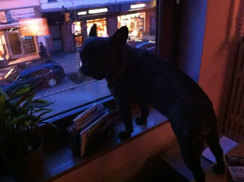 Condolence image of Henni