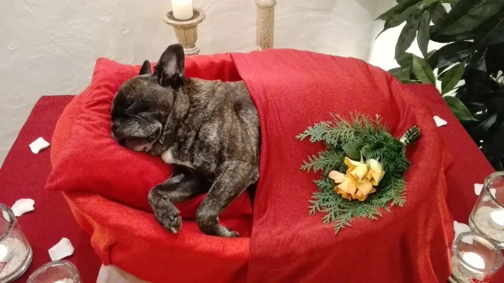 Condolence image of Sarah