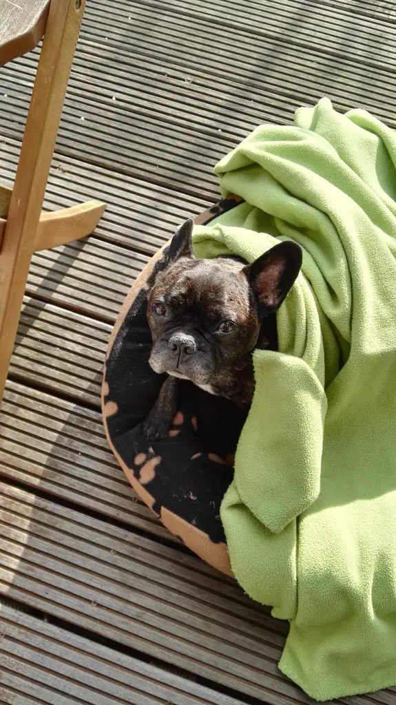 Condolence image of Henni