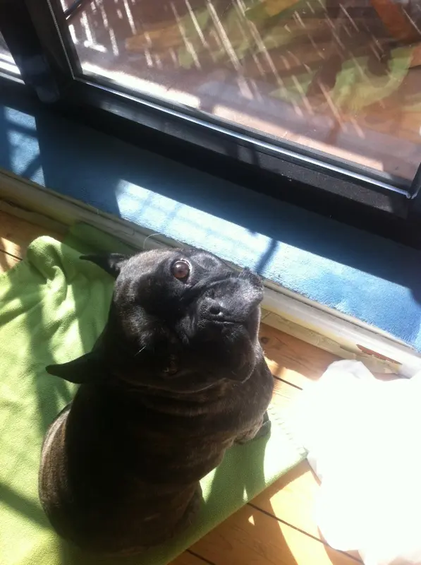 Condolence image of Henni