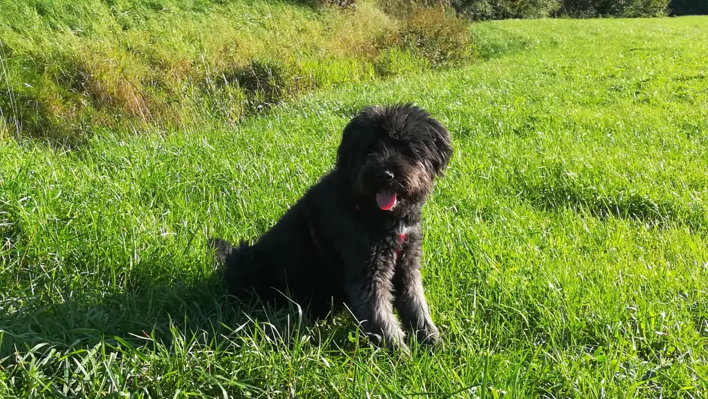 Condolence image of Laura