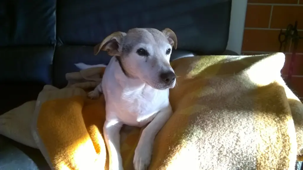 Condolence image of Conny + Hartmut