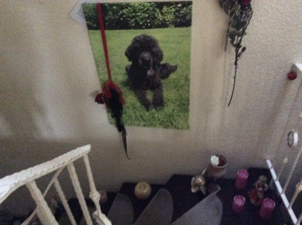 Condolence image of Heidelore 