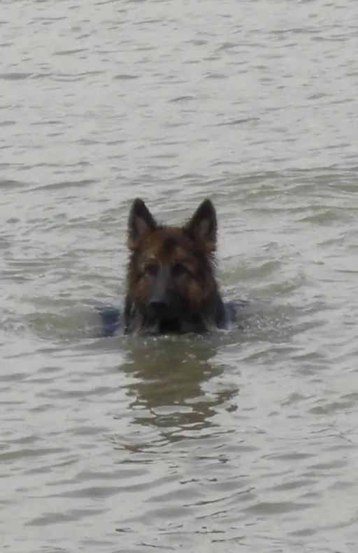 Condolence image of Klaudia mit Misiu❤❤❤