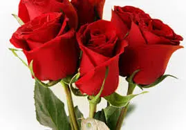 Condolence image of Klaudia mit Misiu❤❤❤