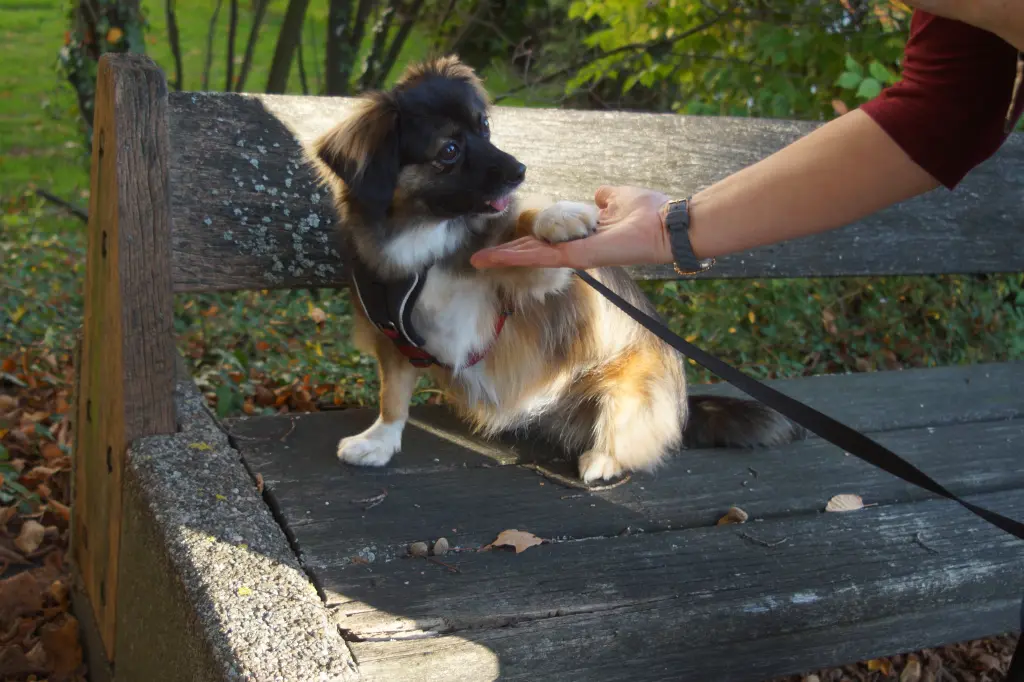 Condolence image of Elisabeth 