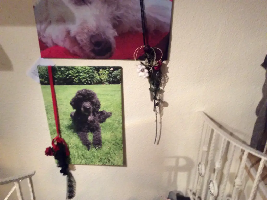 Condolence image of Mutti 