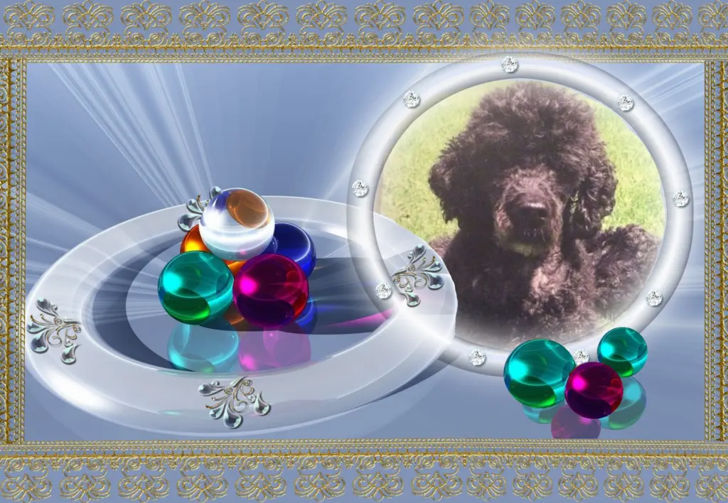 Condolence image of Klaudia mit Misiu❤❤❤Ganz Tief im Herzen❤