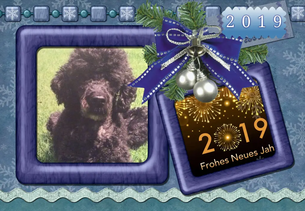 Condolence image of Klaudia mit Misiu❤❤❤Ganz Tief im Herzen❤