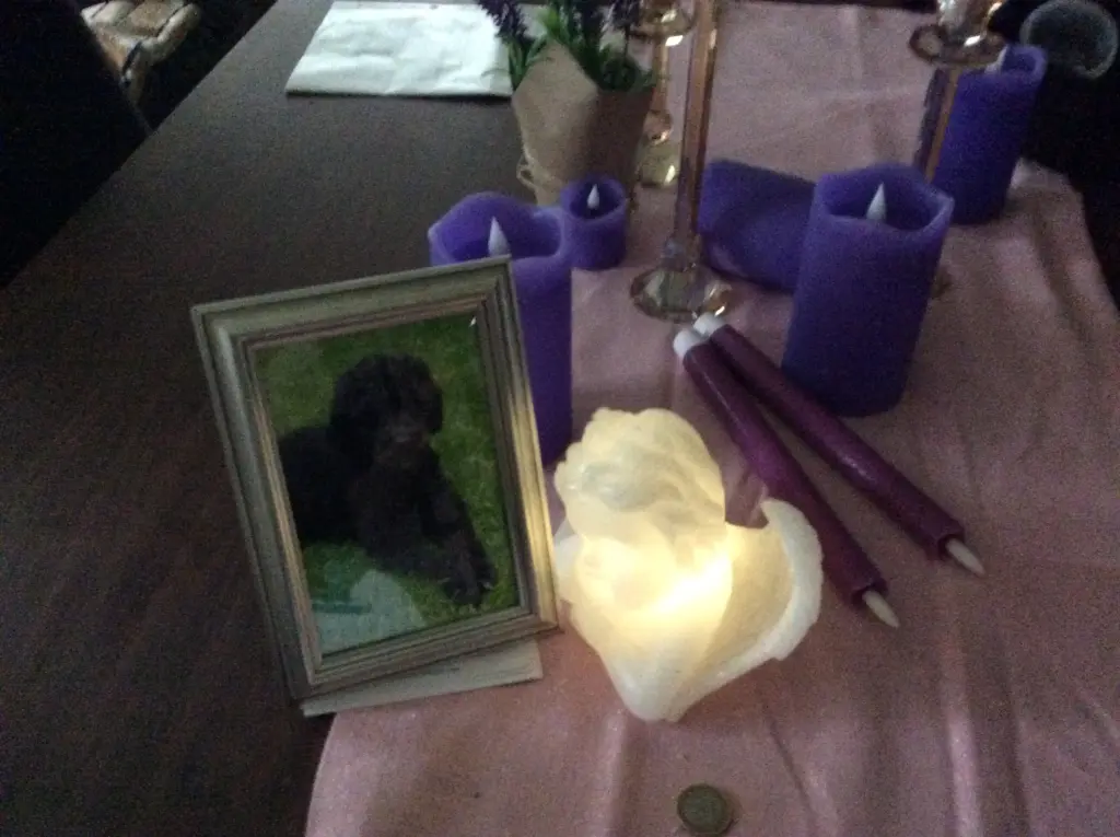 Condolence image of Mutti 