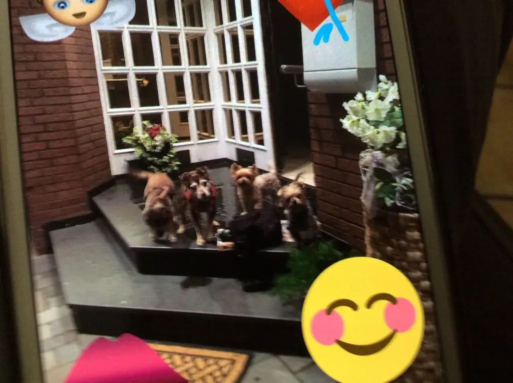 Condolence image of Heidi 