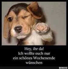 Condolence image of Nelly und Freunde, Regenbogenland