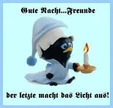 Condolence image of Nelly, Regenbogenland