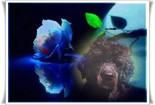 Condolence image of ❤️❤️❤️