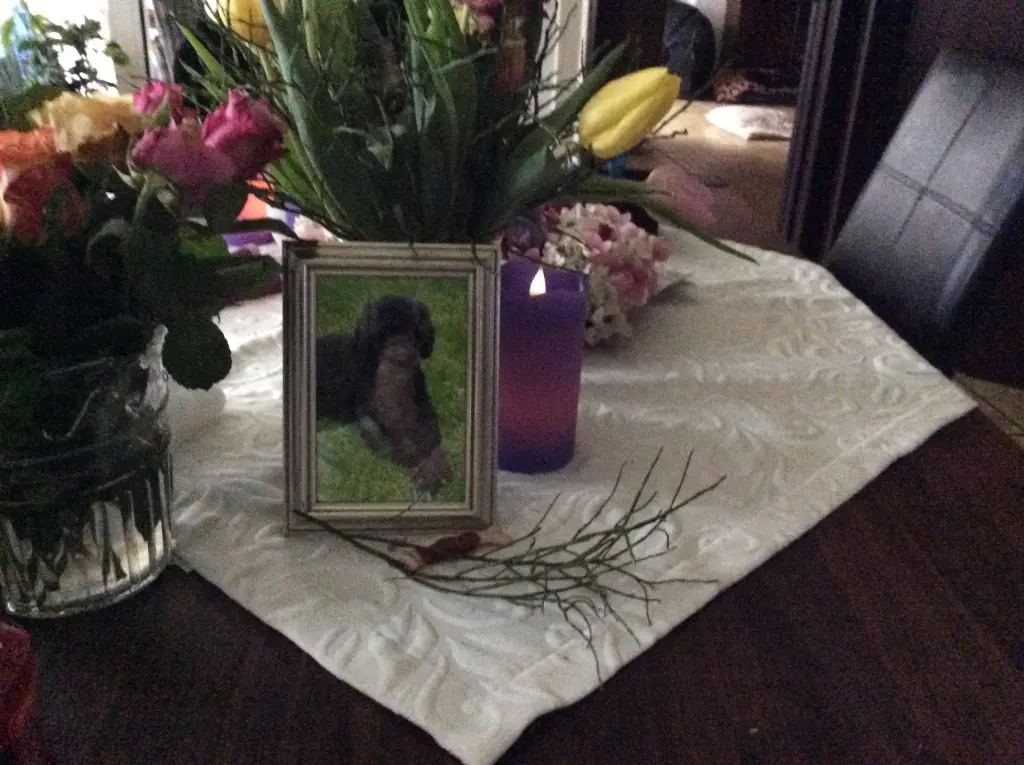 Condolence image of Mutti 