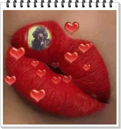 Condolence image of Sonntags Rosen fur Nele❤️