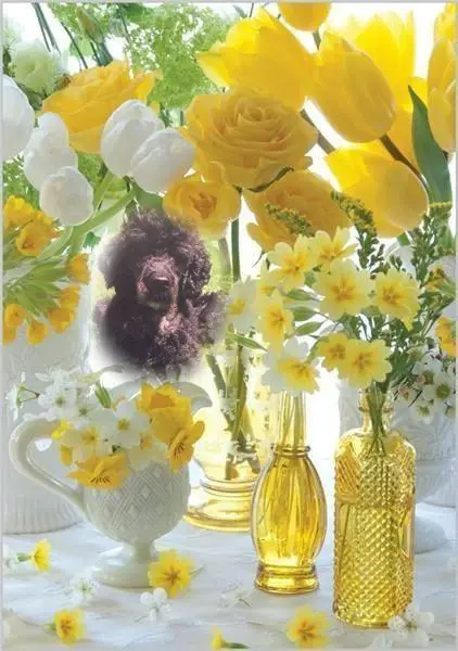 Condolence image of ❤️❤️❤️