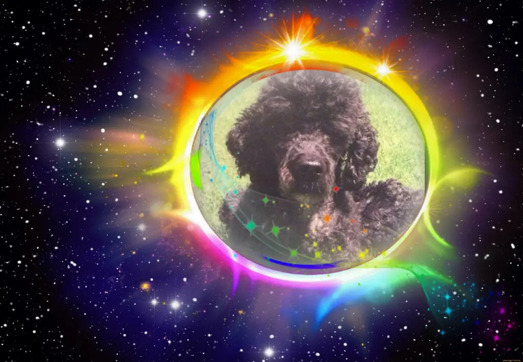 Condolence image of ❤️❤️❤️