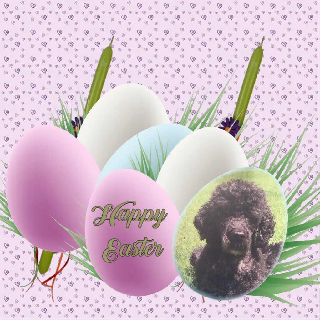 Condolence image of ❤️❤️❤️