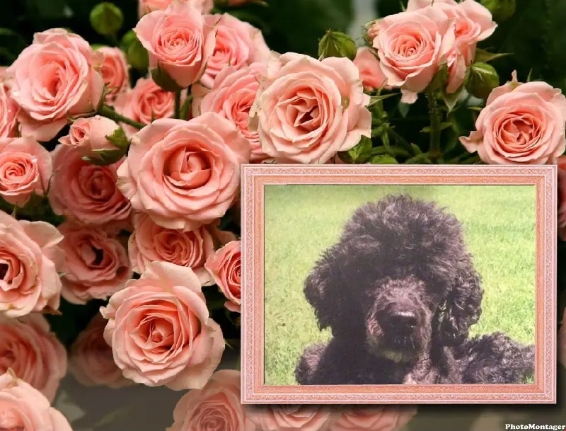 Condolence image of ❤️❤️❤️