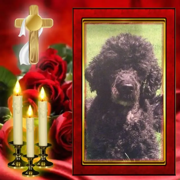 Condolence image of ❤️❤️❤️