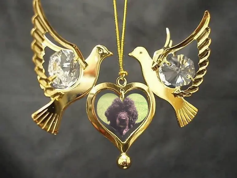 Condolence image of ❤️❤️❤️