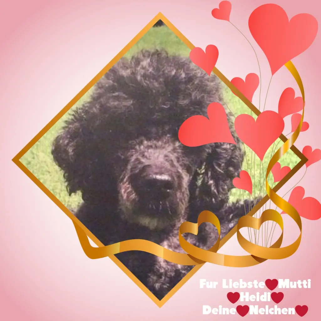 Condolence image of ❤️❤️❤️