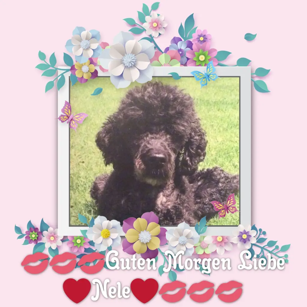 Condolence image of ❤️❤️❤️