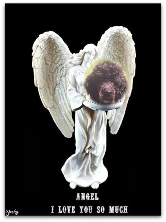 Condolence image of ❤️❤️❤️