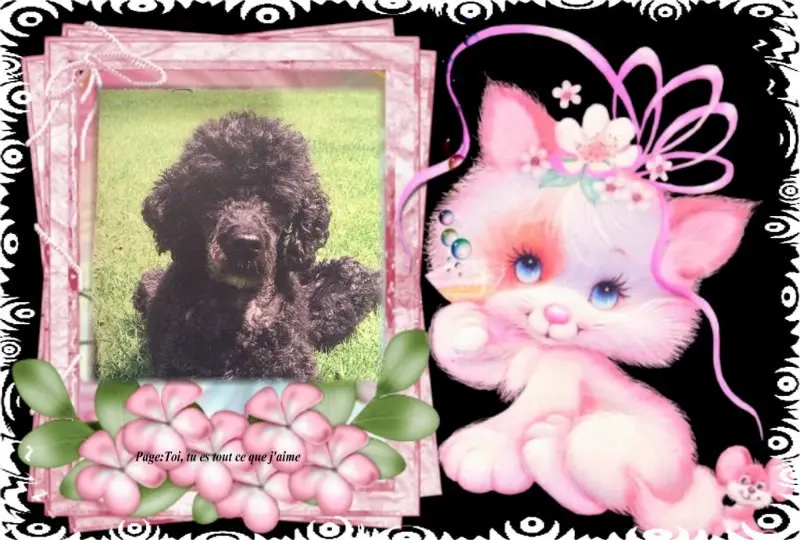 Condolence image of ❤️❤️❤️