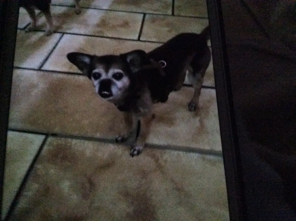 Condolence image of Mutti 