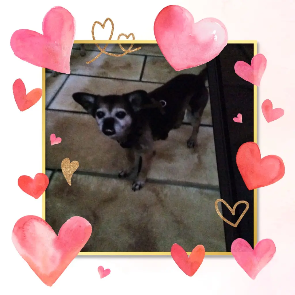 Condolence image of Rosen❤️❤️❤️fur Liebe❤️Sena❤️